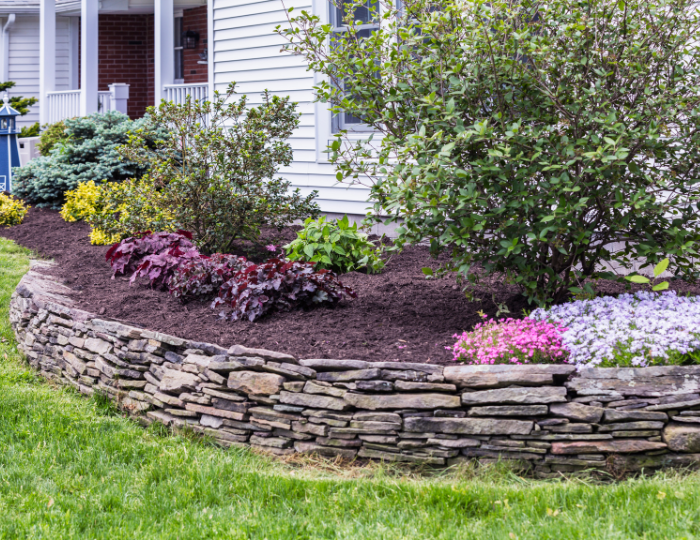 Exploring the Best Mulch Types for Your Aurora Garden