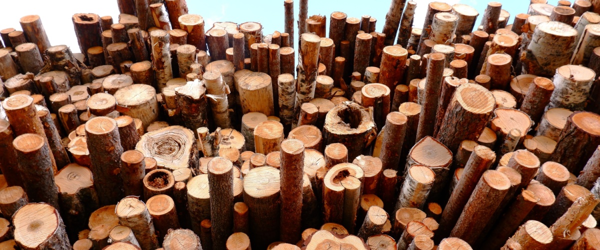 Firewood Delivery Channahon, IL