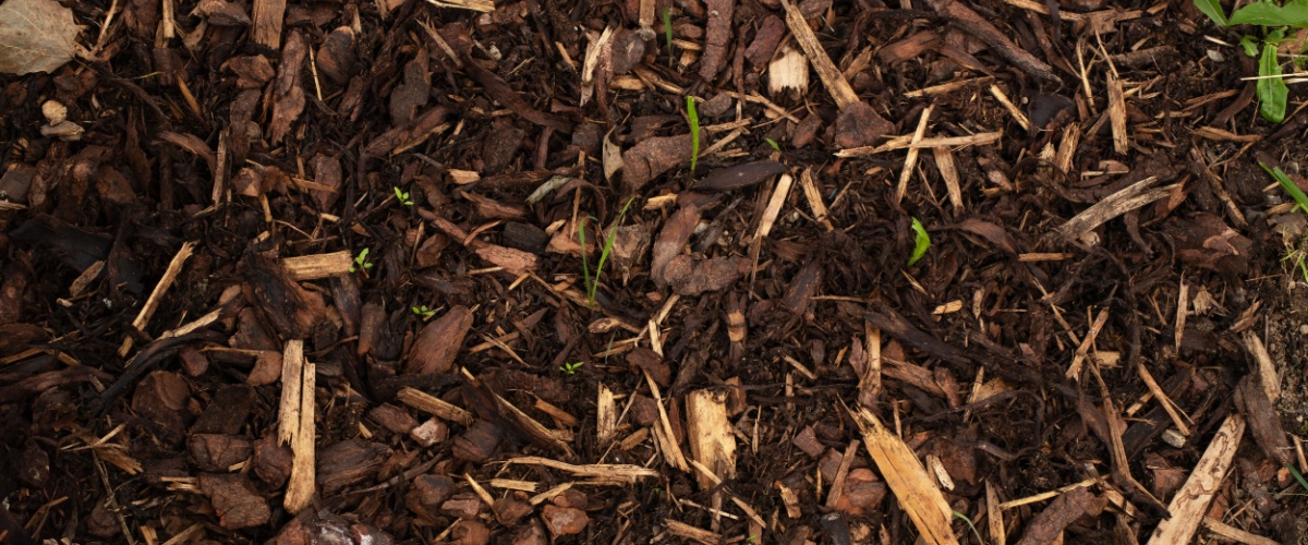 Bolingbrook, IL 1 Bolingbrook, IL