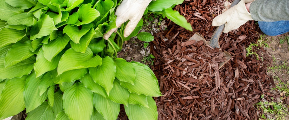 Oswego, IL 1 Mulch Delivery Oswego, IL