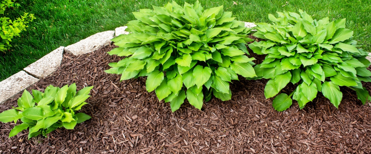 Mulch Delivery Plano, IL