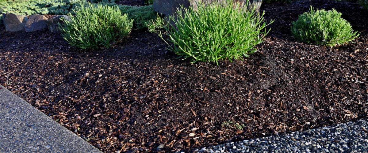 Mulch Delivery Romeoville, IL