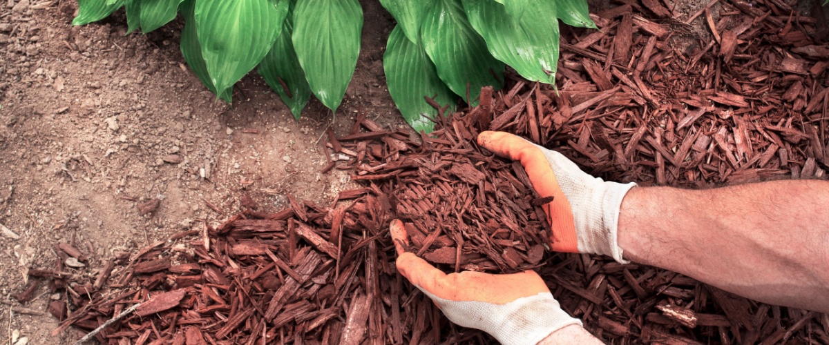 Mulch Delivery Sycamore, IL