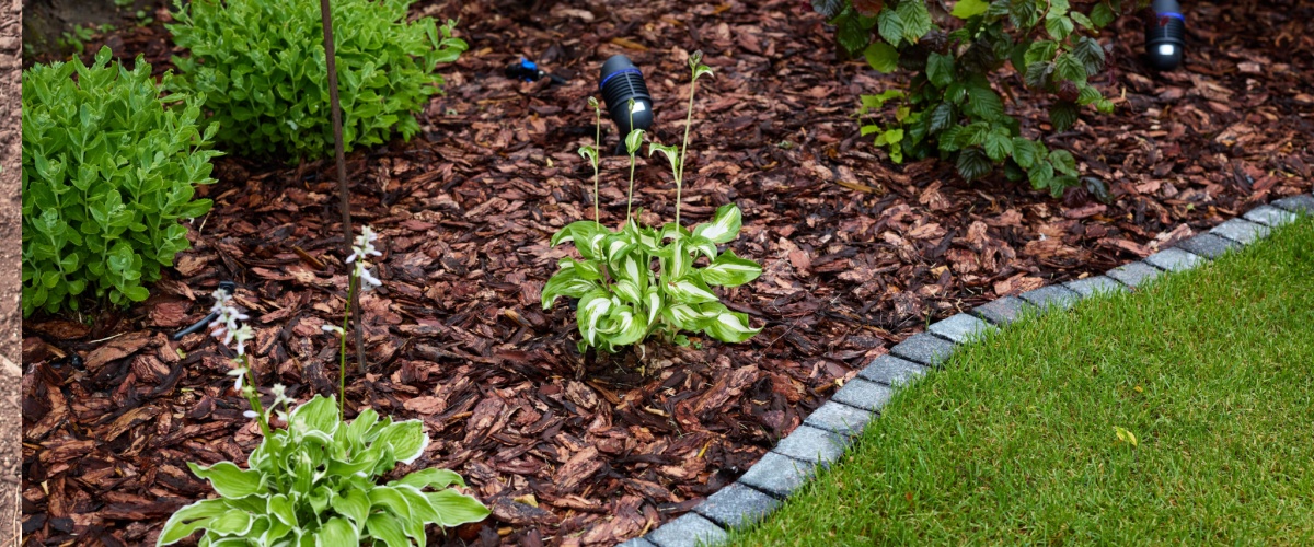 Warrenville, IL 1 Mulch Delivery Warrenville, IL