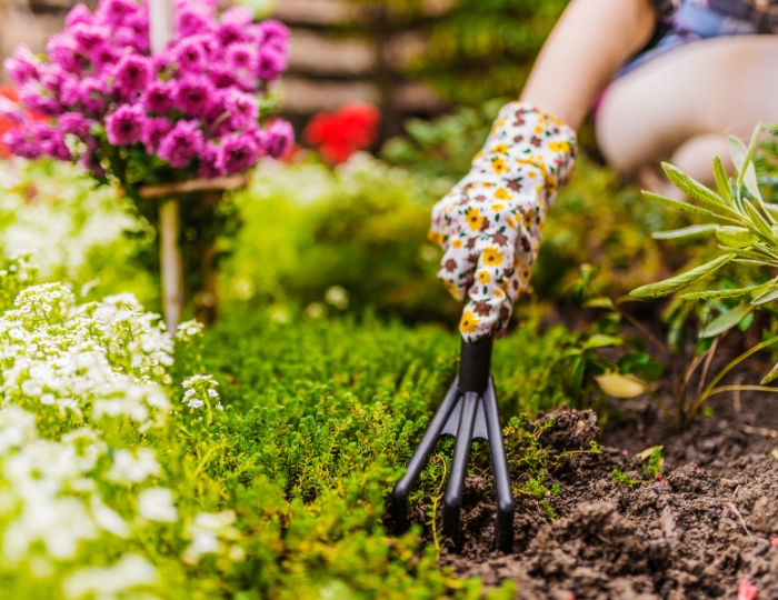 Preparing Your Garden with The Grove Firewood Mulch