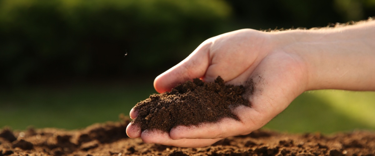 Soil Delivery Bolingbrook, IL