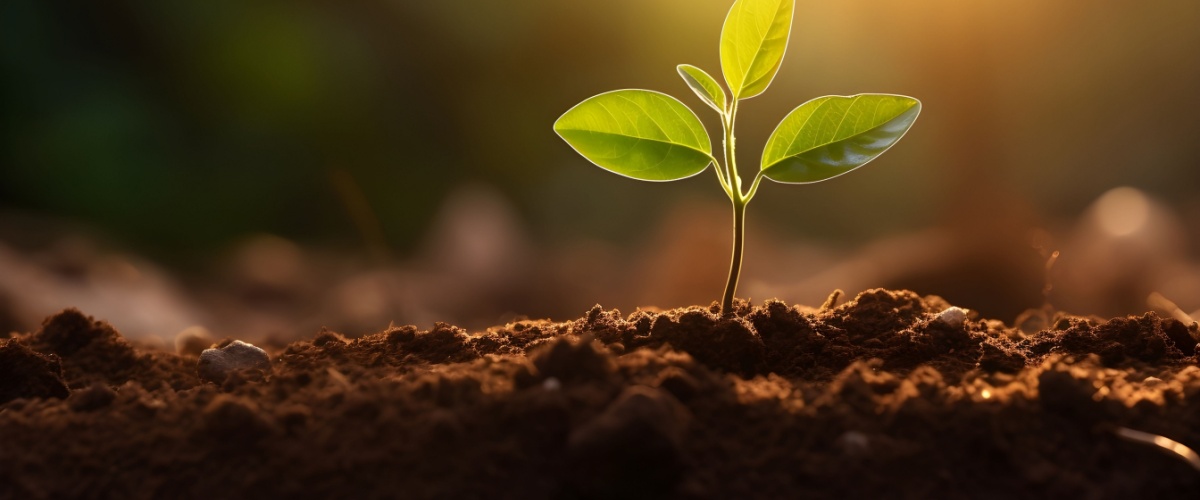 Soil Delivery Bristol, IL