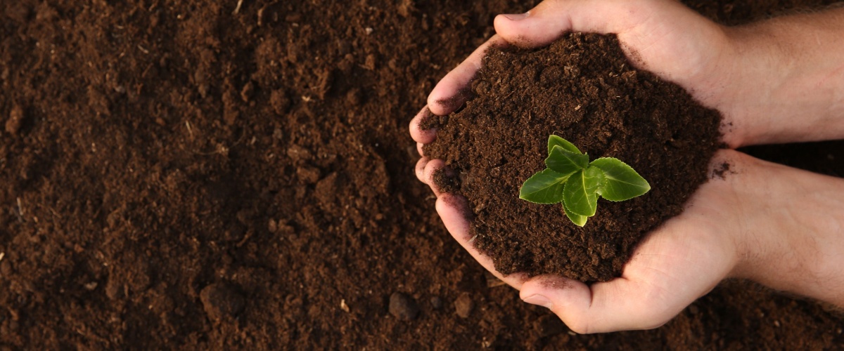 Soil Delivery Carol Stream, IL