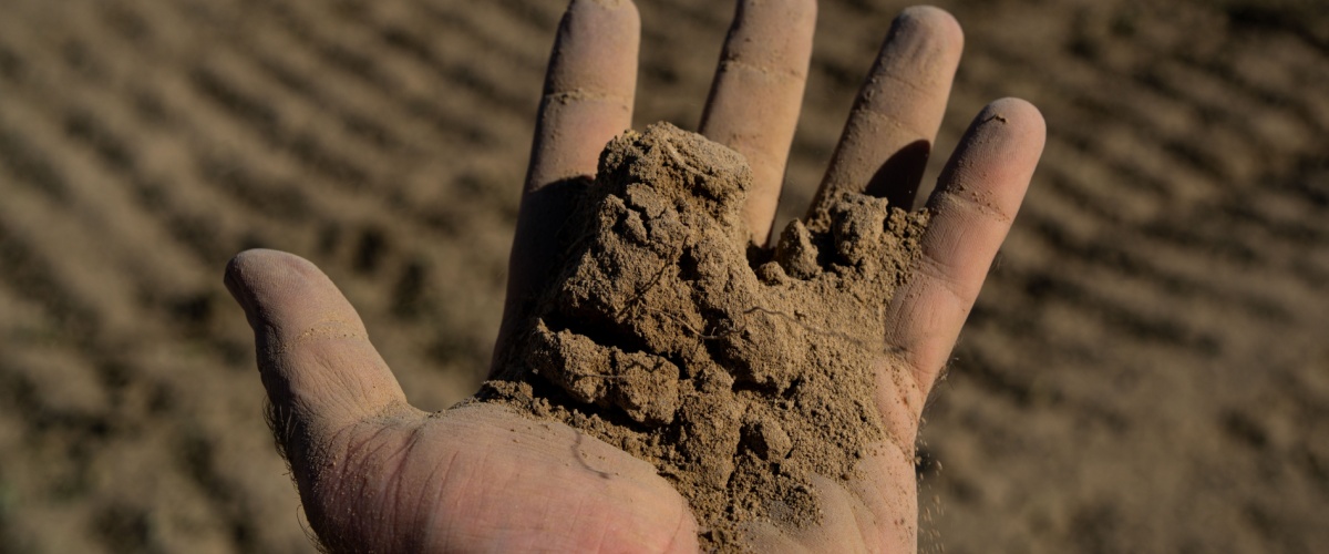 Soil Delivery Elgin, IL