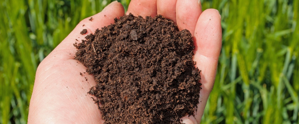 Soil Delivery Montgomery, IL