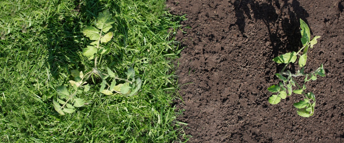 Soil Delivery North Aurora, IL