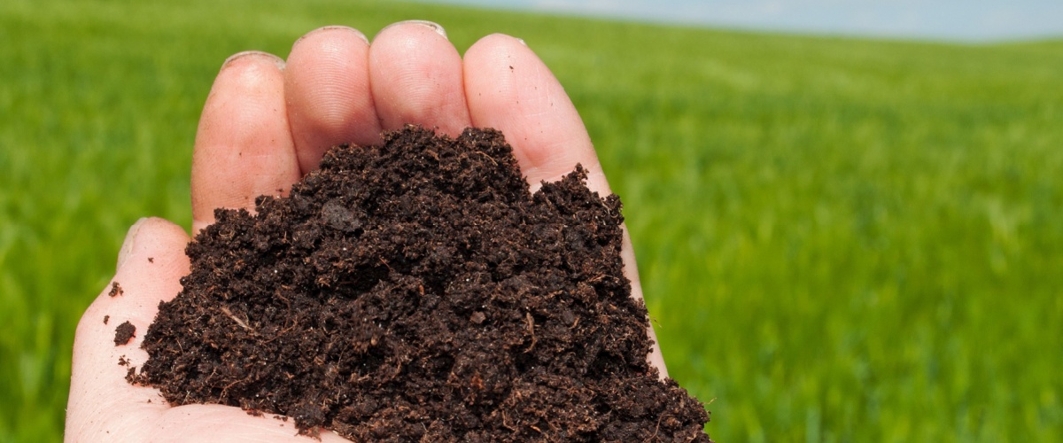 Soil Delivery Plano, IL