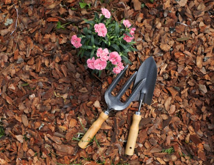 Water Saving Tips for Your Garden Using Mulch