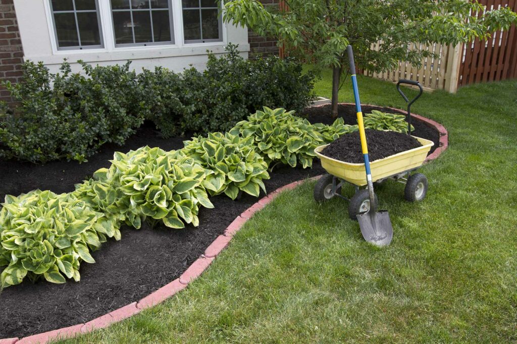mulch banner 2 1024x682 1