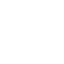 snowflake (2)